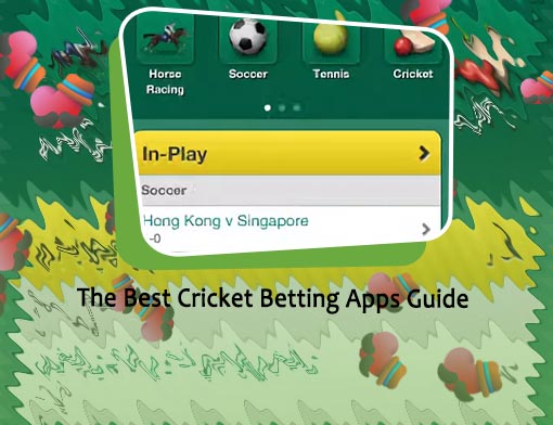 Best cricket betting app