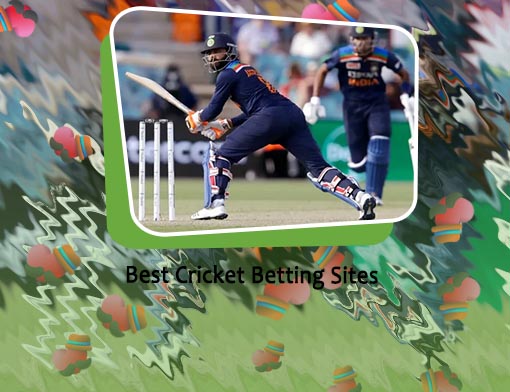 Best cricket predictions India