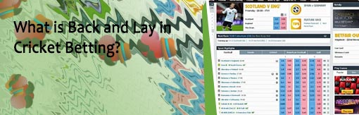 Betfair cricket match