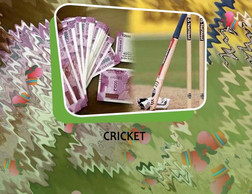 Betting cricket
