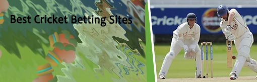 Betting site of cricket