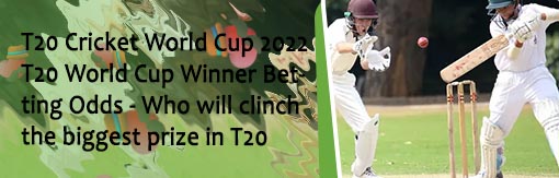 Cricket bets