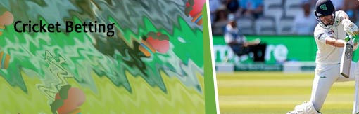 England ireland cricket betting odds for Indian users