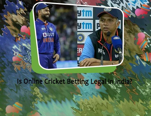 India australia cricket odds