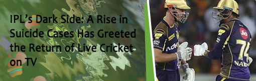 Ipl bookie rate
