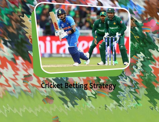 Online cricket match rate
