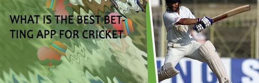 Top cricket betting app in Indian Rupees